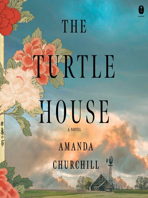Cover image for The Turtle House